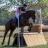 Cowboy Swagger is 2019 Thoroughbred Makeover Champion With Fallon Taylor